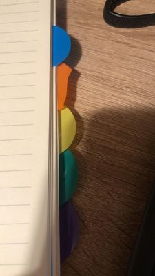 Copertina PP Notebook di progetto A5 con linee orizzontali all'interno delle pagine e divisori PP colorati