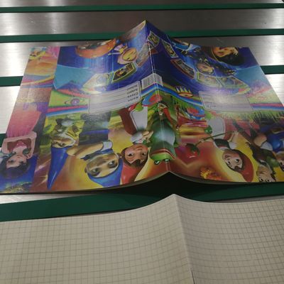LD1050B Macchina semiautomatica di legatura di libri per esercizi progettata per legare volumi elevati